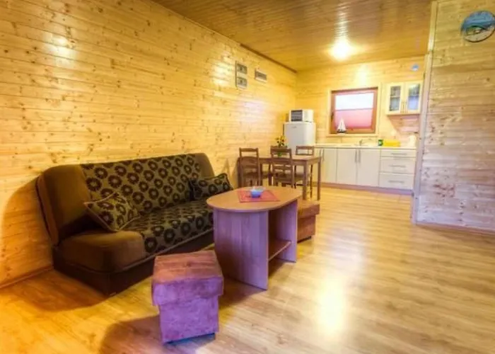 Tatil Evi 8 In Mielno Mit Grill By Interhome Mielenko